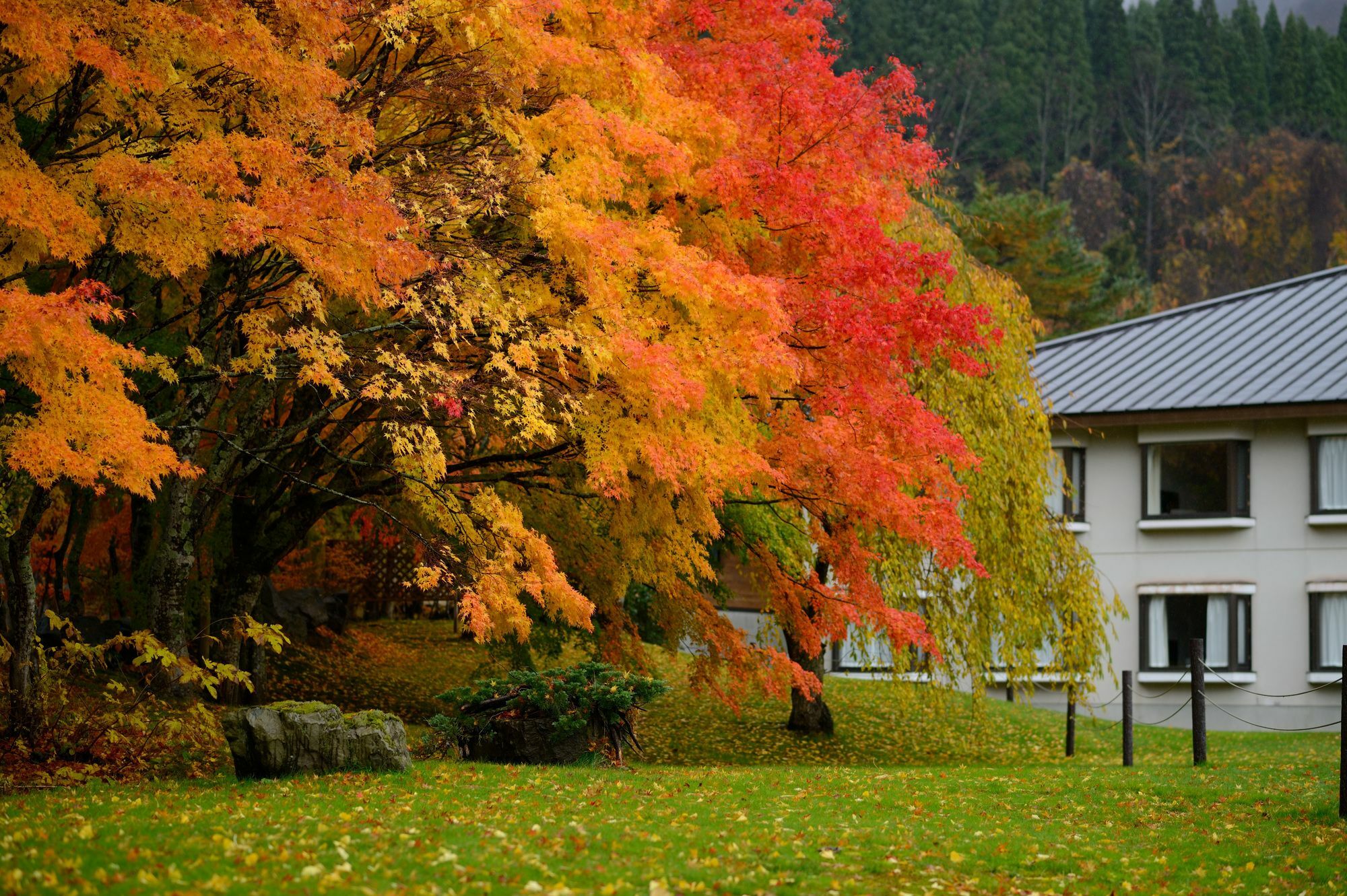 Towada Prince Hotel Kosaka Exteriör bild